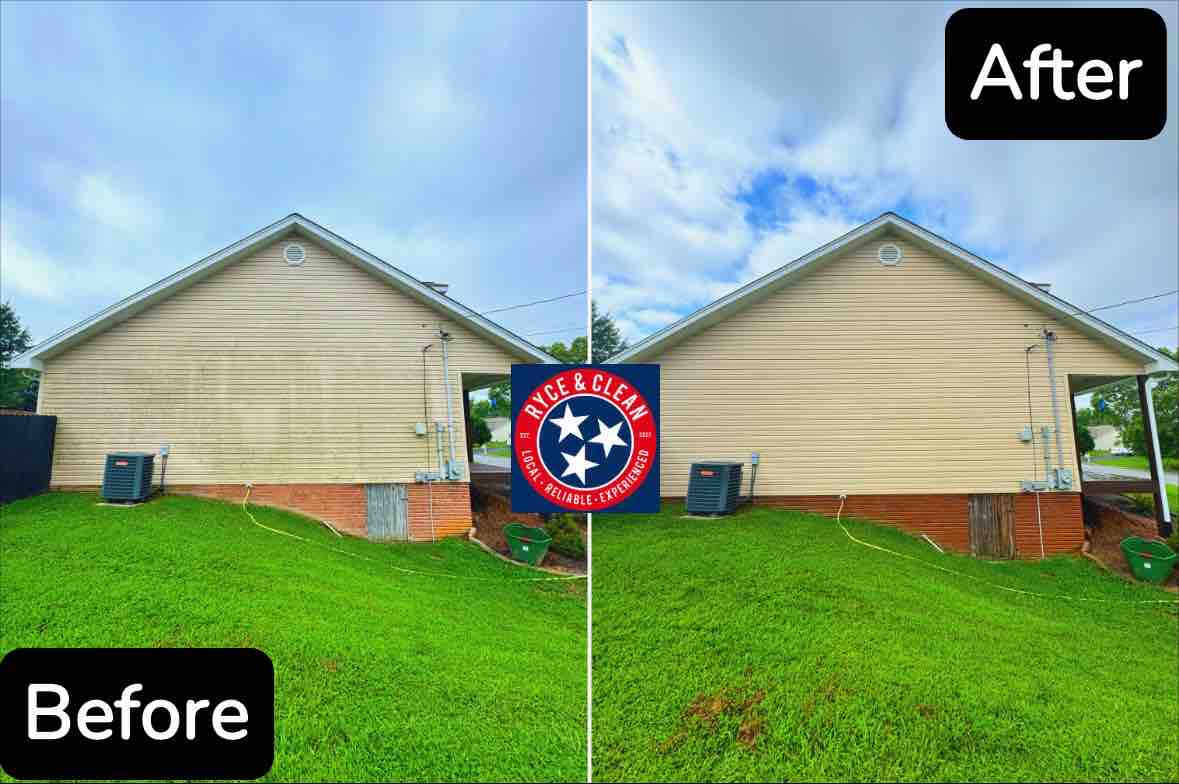 Homeowner thought their only option was repainting their house