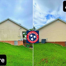 Homeowner-thought-their-only-option-was-repainting-their-house 0
