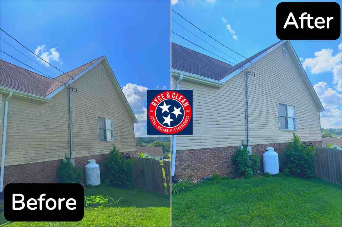 Their home was covered in organic growth—black algae streaks, green mold...