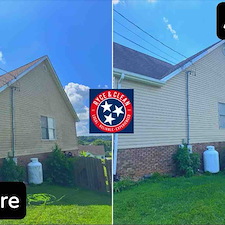 Their-home-was-covered-in-organic-growthblack-algae-streaks-green-mold 0