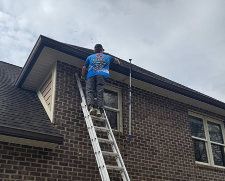 Gutter Cleaning